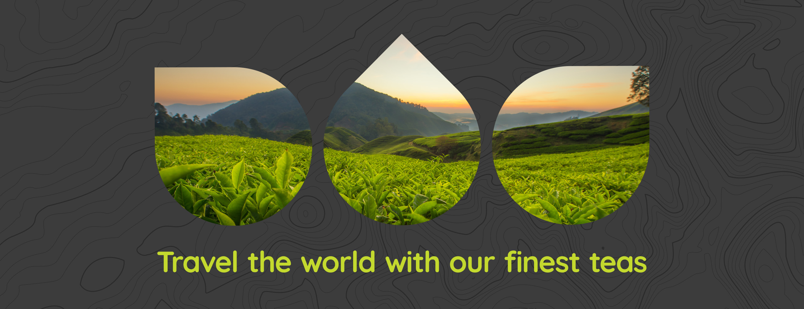 Travel the world with our finest teas